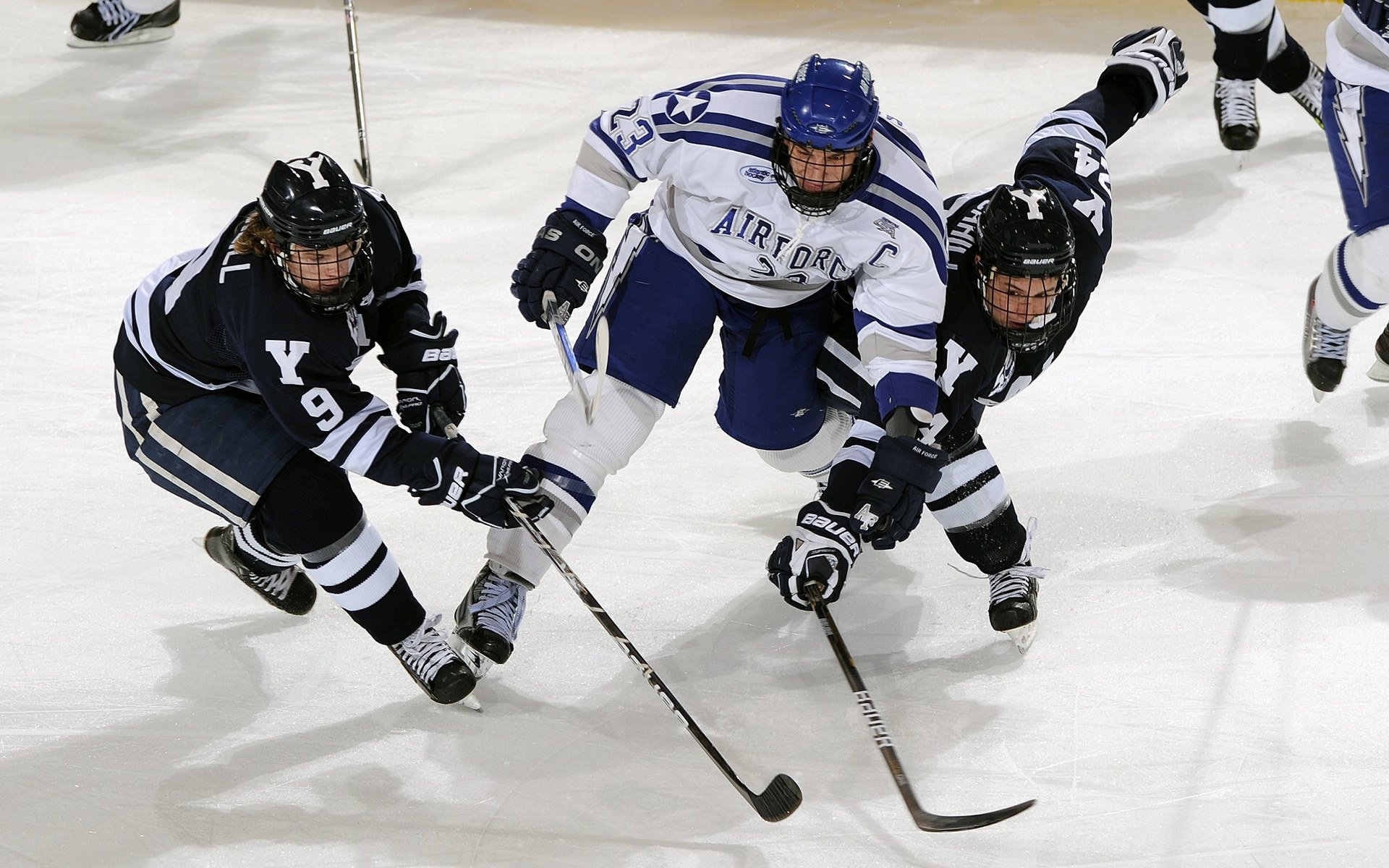 校园体育文化建设对学生归属感影响调查，校园体育文化对大学生的影响是什么